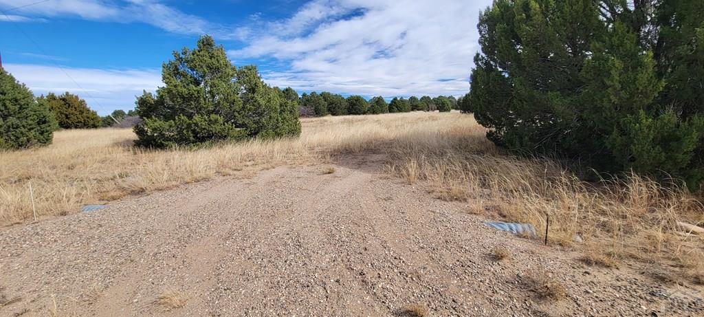 Lot 34 Silver Spur Road Walsenburg, CO 81089 - Photo 2 of 43