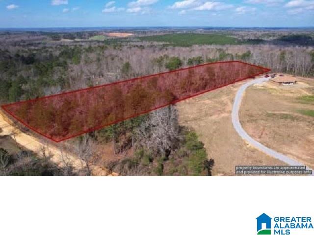 1 County Road 230 Clanton, AL 35045 - Photo 1 of 1