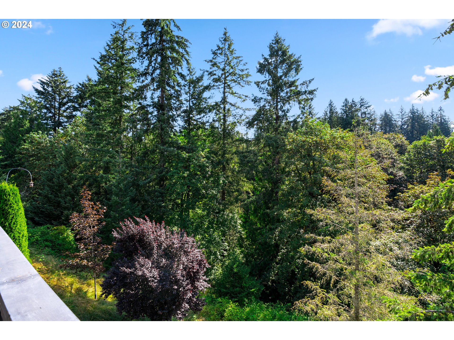 15917 Northeast Union Road, Unit 27 Ridgefield, WA 98642 - Photo 36 of 40 Gallery Image 36