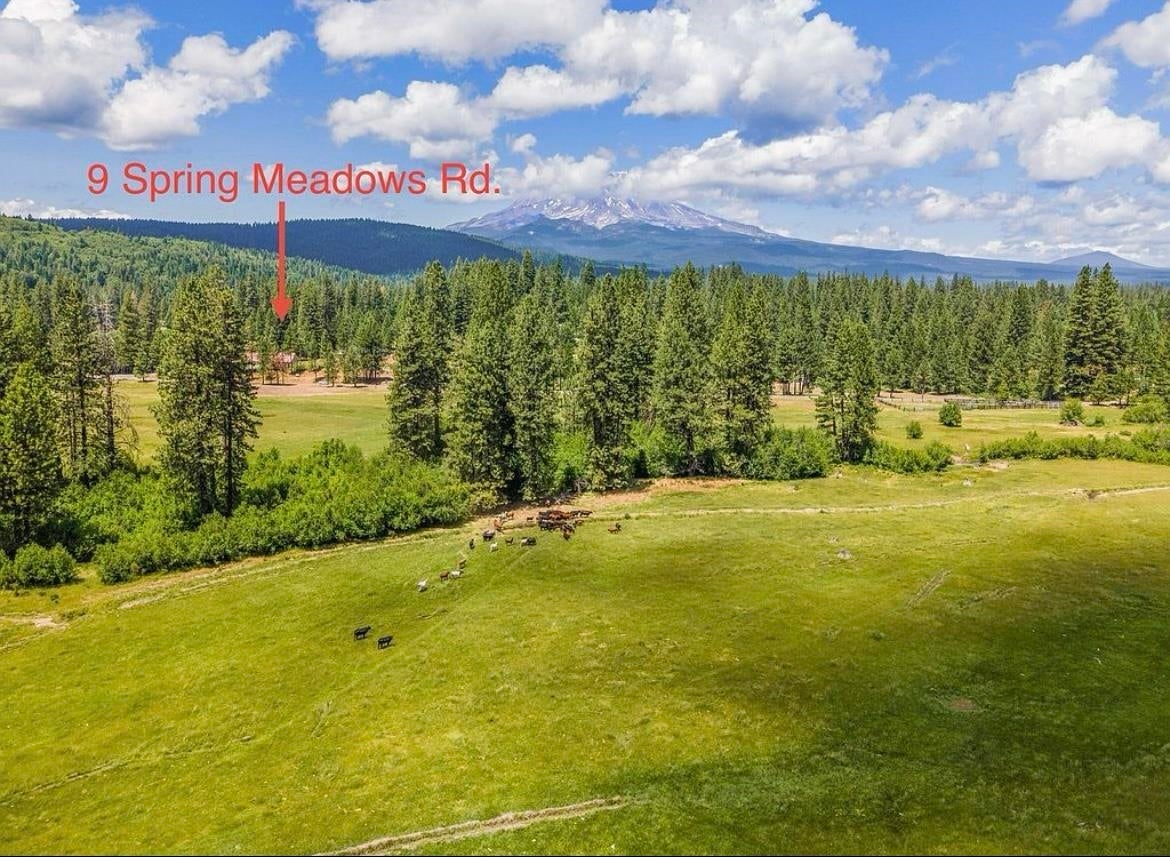 9 Spring Meadows Road McCloud, CA 96057 - Photo 49 of 50 Gallery Image 49