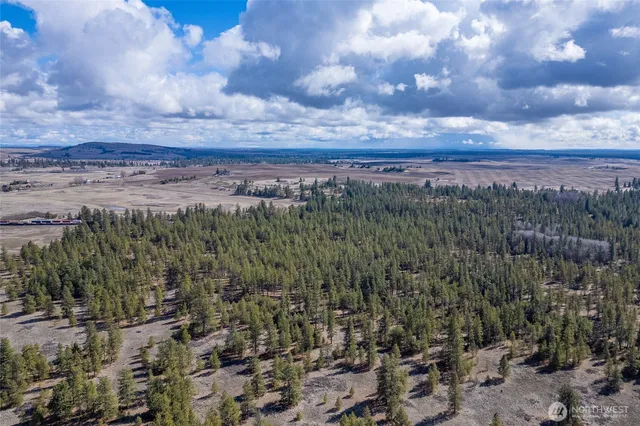 a view of a city with lots of trees