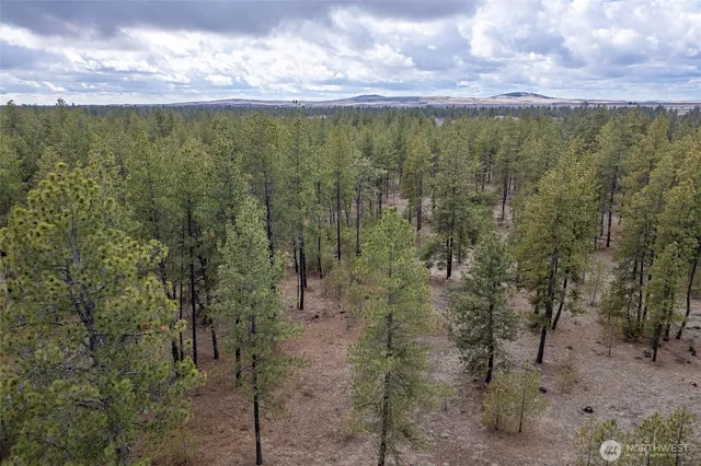 a view of a lake with a city