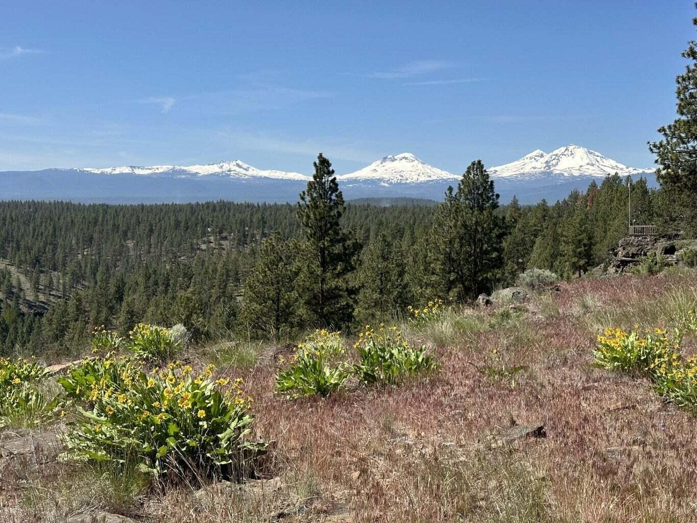 17127 Mountain View Road Sisters, OR 97759 - Photo 9 of 13 12