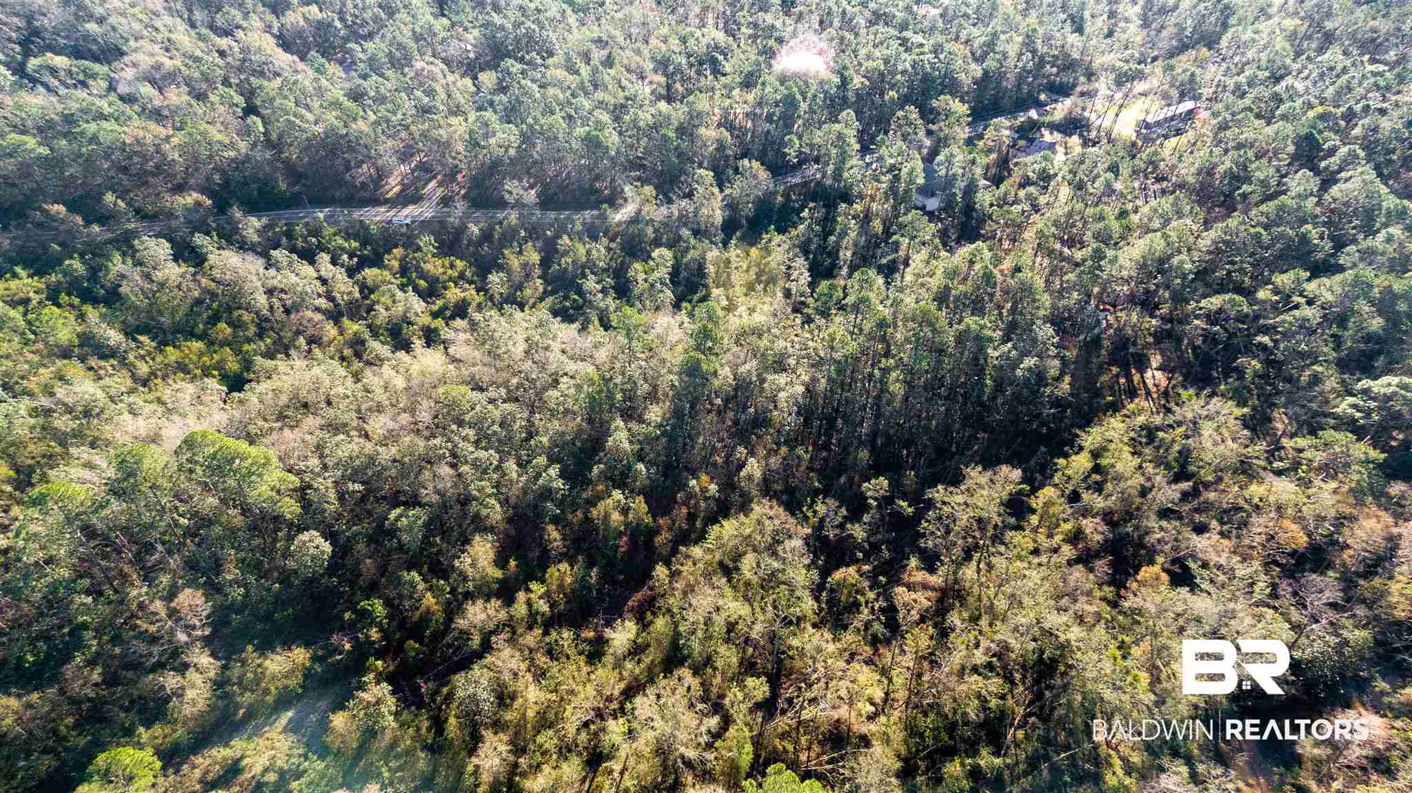 0 McPhillips Road Loxley, AL 36551 - Photo 16 of 27