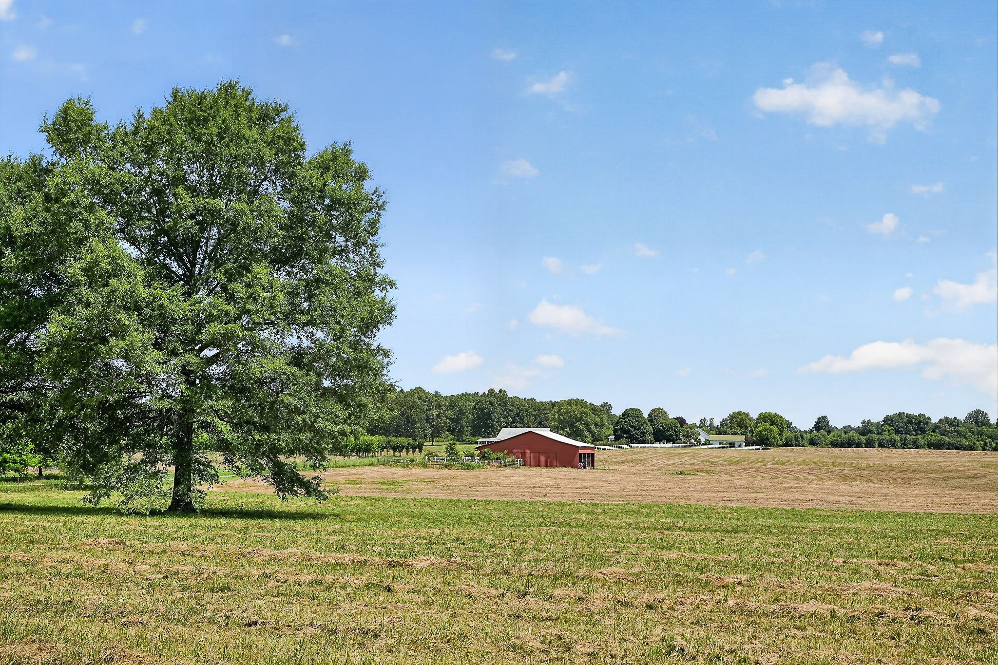 1600 Magness Road McMinnville, TN 37110 - Photo 42 of 63