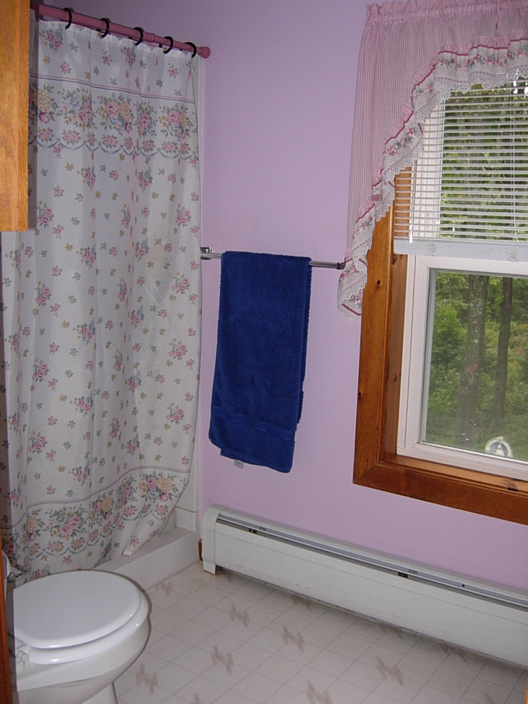 190 Cross Road Clarksburg, MA 01247 - Photo 11 of 12 a bathroom with a toilet and a shower
