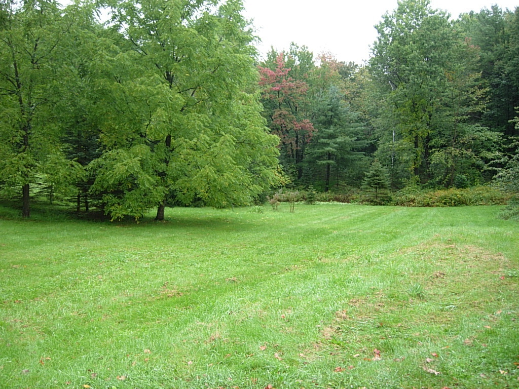 190 Cross Road Clarksburg, MA 01247 - Photo 3 of 12 a view of an outdoor space and a yard