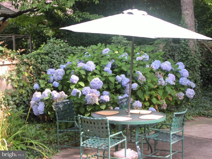 110 Kingston Road Cheltenham, PA 19012 - Photo 21 of 24 Patio
