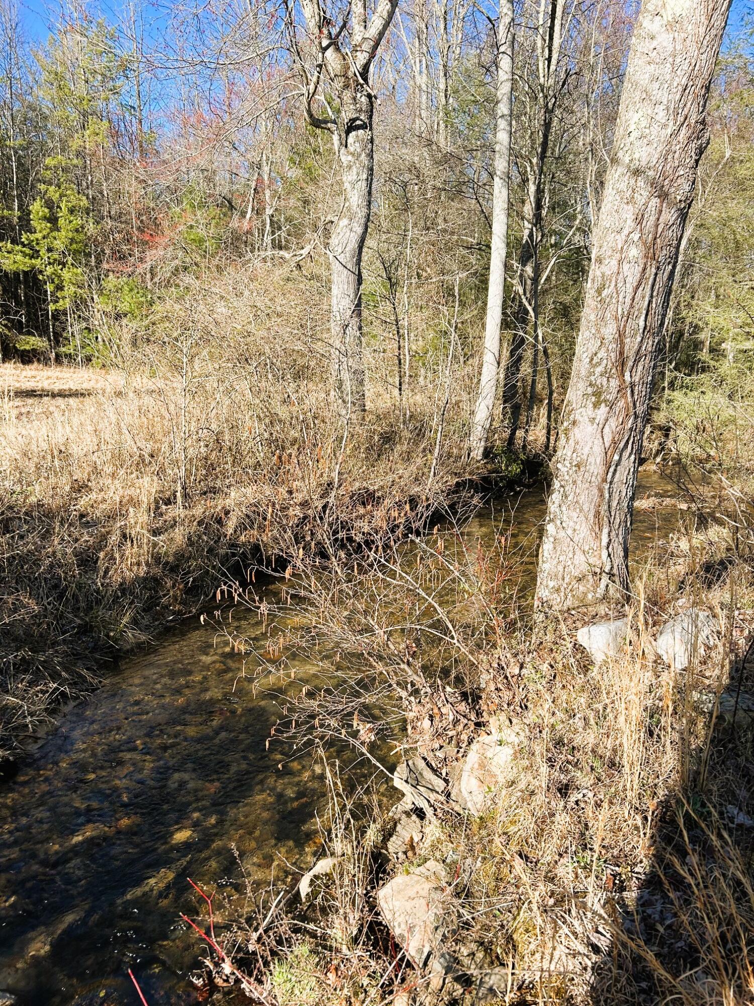 0 Bullet Creek Road Reliance, TN 37369 - Photo 54 of 62 Yellow Creek