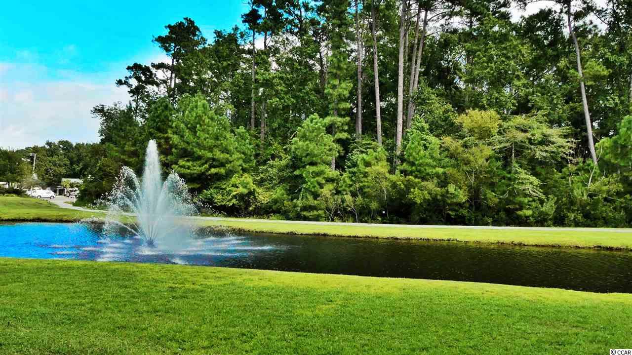 1000 Ray Costin Way, Unit 104 Murrells Inlet, SC 29576 - Photo 19 of 25 Gallery Image 19