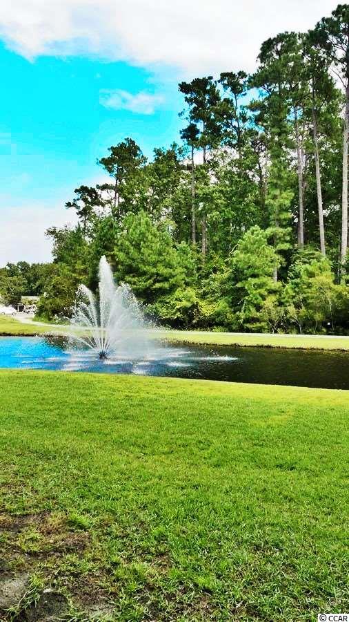 1000 Ray Costin Way, Unit 104 Murrells Inlet, SC 29576 - Photo 20 of 25 Gallery Image 20