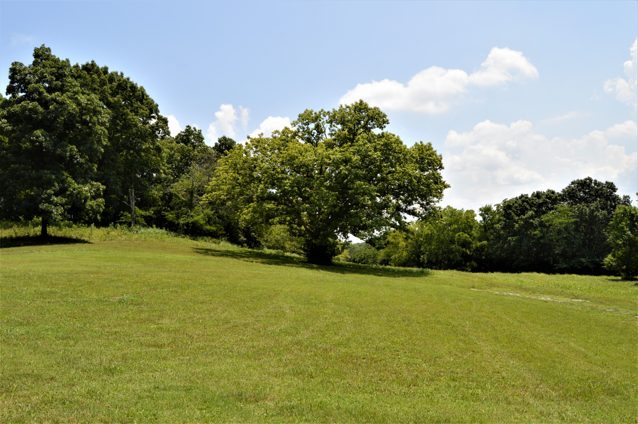 545 East Robertson Road Castalian Springs, TN 37031 - Photo 18 of 19 a view of a field with an outdoor space