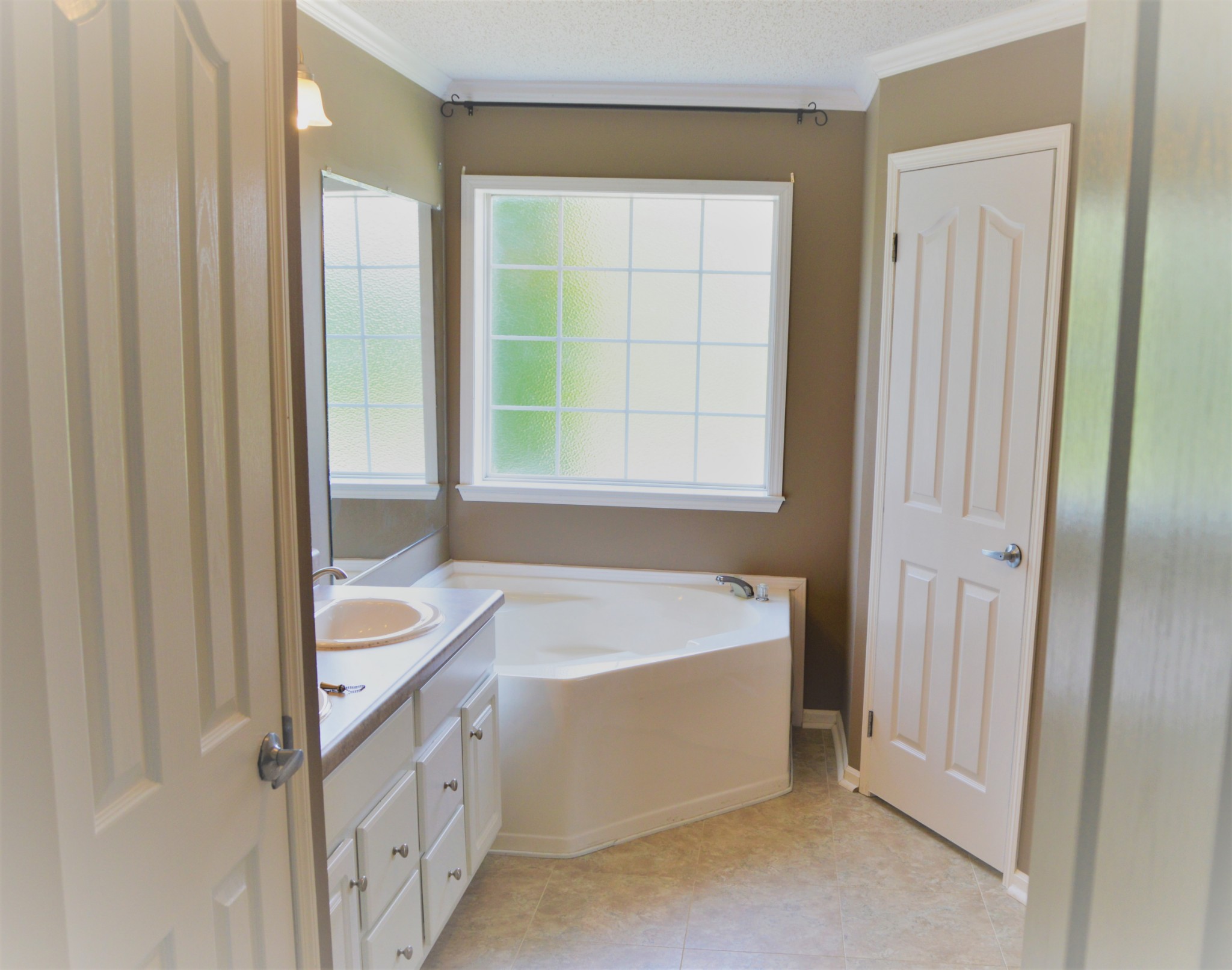 545 East Robertson Road Castalian Springs, TN 37031 - Photo 10 of 19 a bathroom with a tub a sink and a window
