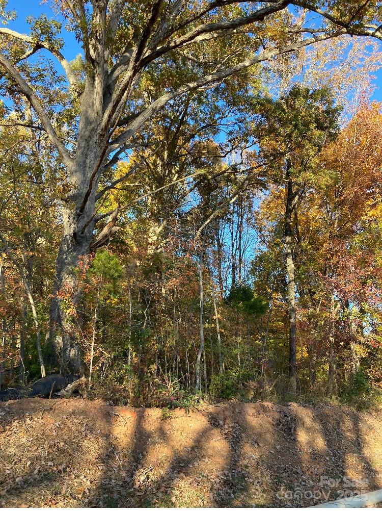 0 Robinson Road Salisbury, NC 28144 - Photo 2 of 7 a backyard of a house