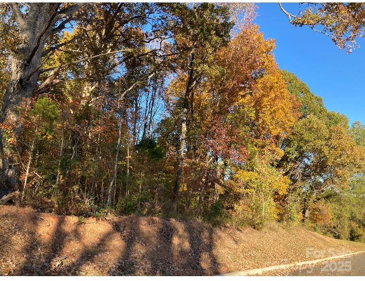 0 Robinson Road Salisbury, NC 28144 - Photo 3 of 7 a view of a yard