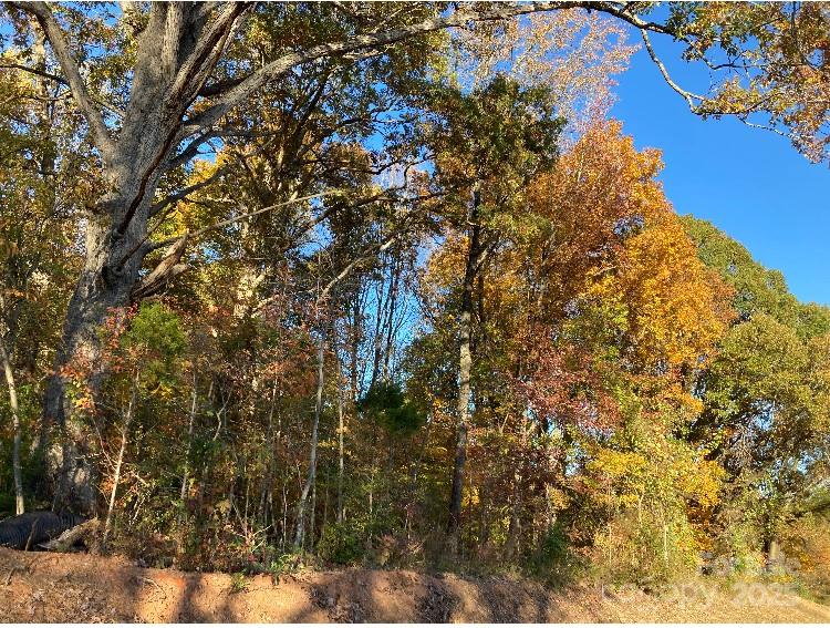 0 Robinson Road Salisbury, NC 28144 - Photo 4 of 7 a view of a tree