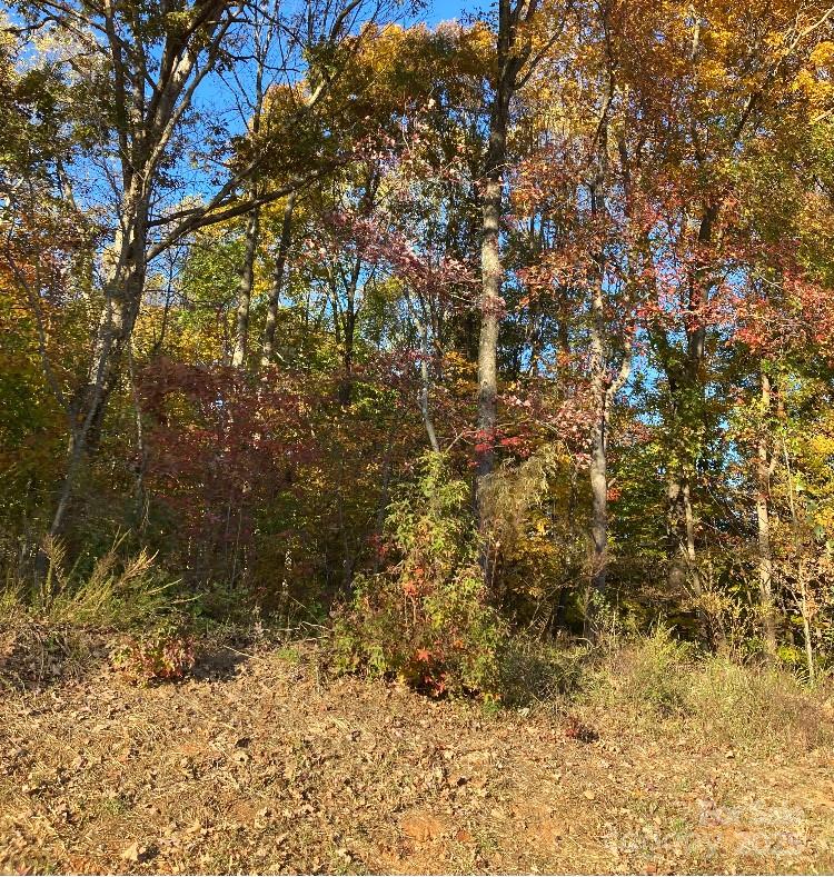0 Robinson Road Salisbury, NC 28144 - Photo 5 of 7 a view of a tree