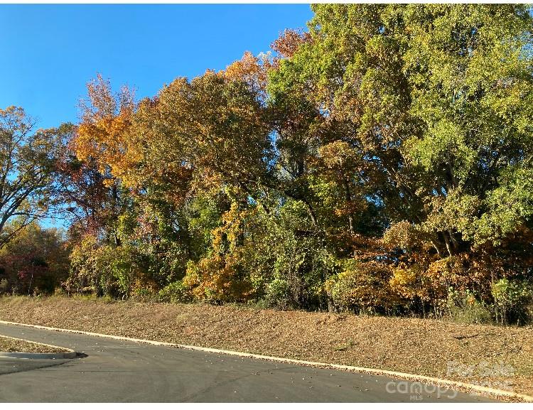 0 Robinson Road Salisbury, NC 28144 - Photo 6 of 7 a view of a yard