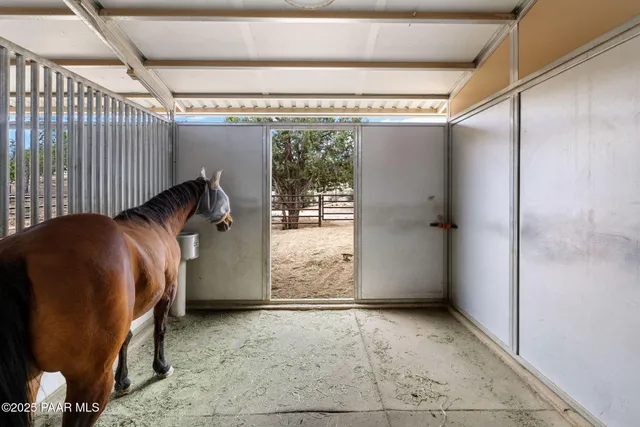 a view of yard with large tree