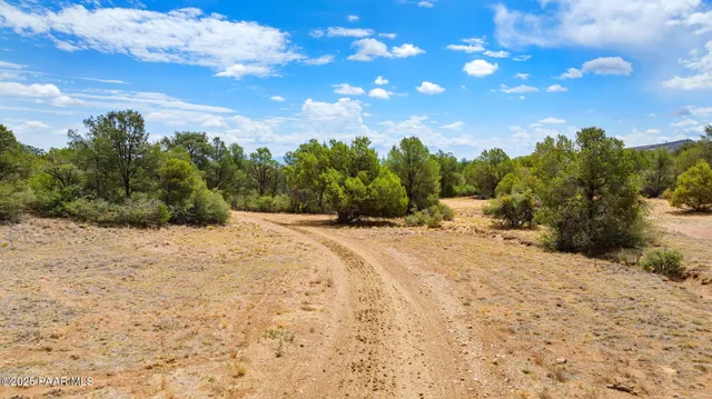 a view of a livingroom with furniture window and outside view