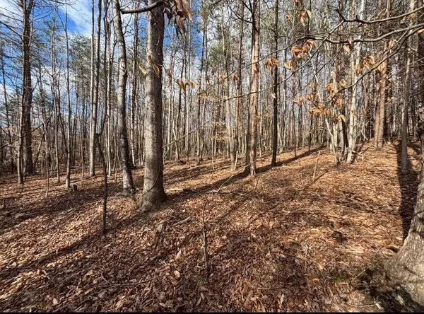 a view of outdoor space with trees