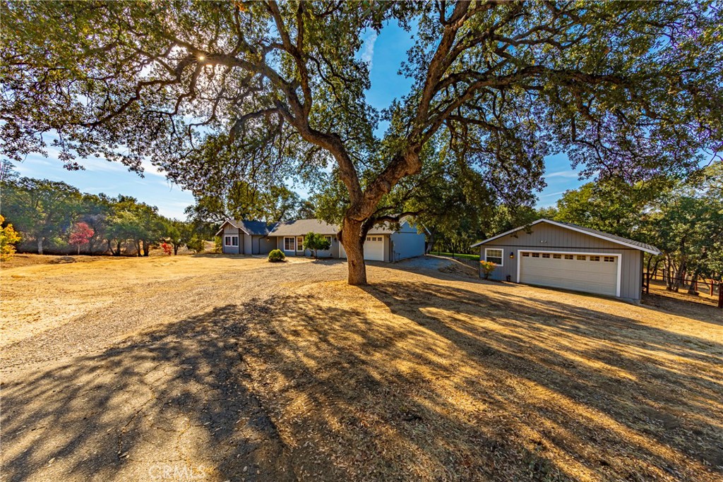 47452 Veater Ranch Road Coarsegold, CA 93614 - Photo 1 of 1 a view of house with yard in front of it