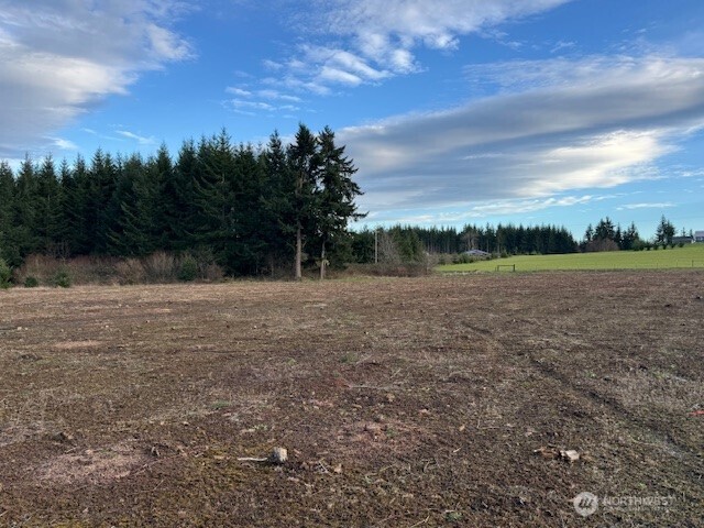 2 Brown Road Chehalis, WA 98532 - Photo 5 of 10 a view of a yard with a tree