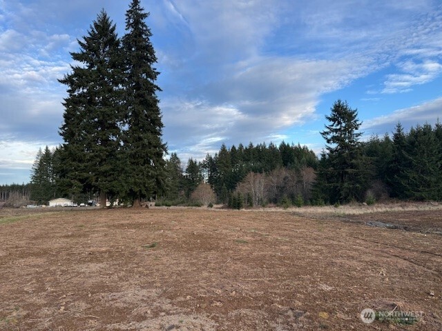 2 Brown Road Chehalis, WA 98532 - Photo 7 of 10 a view of outdoor space with trees all around