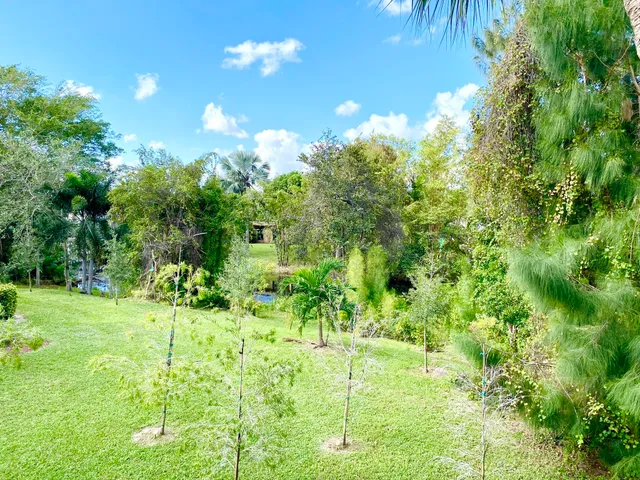 a view of yard with green space