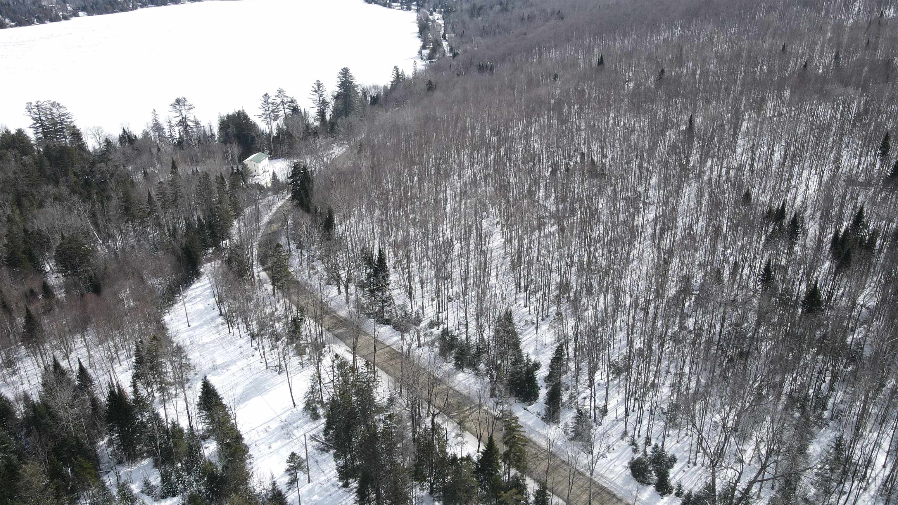 0 Shadow Lake Road Glover, VT 05839 - Photo 23 of 59 Gallery Image 23