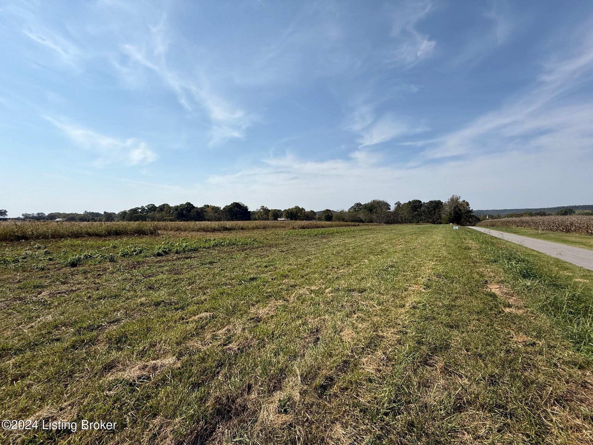 0 Parker Road Lewisburg, KY 42256 - Photo 5 of 13 Tract 2D 03