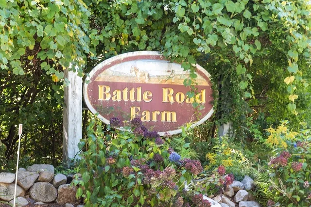 $619,000 | 36 Indian Camp Lane, Unit D, Lincoln, MA 01773