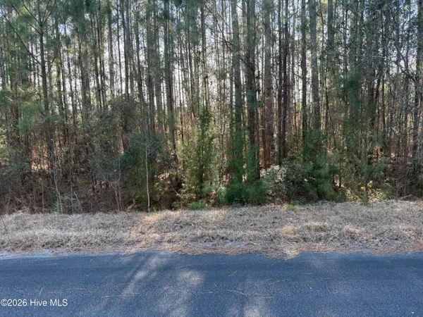 $150,000 | Undisclosed Address, Oriental, NC 28571