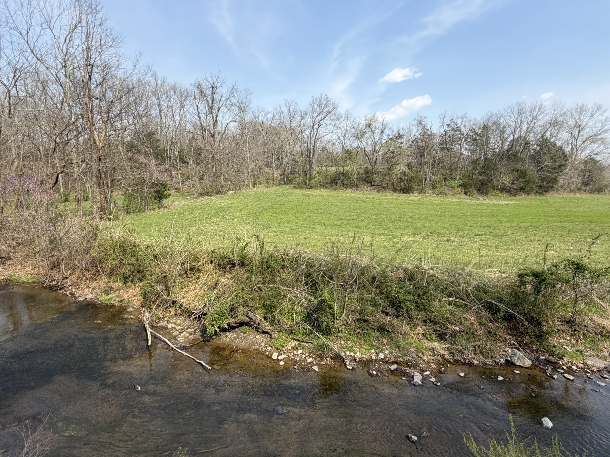 1 North Lick Creek Road Franklin, TN 37064 - Photo 2 of 7