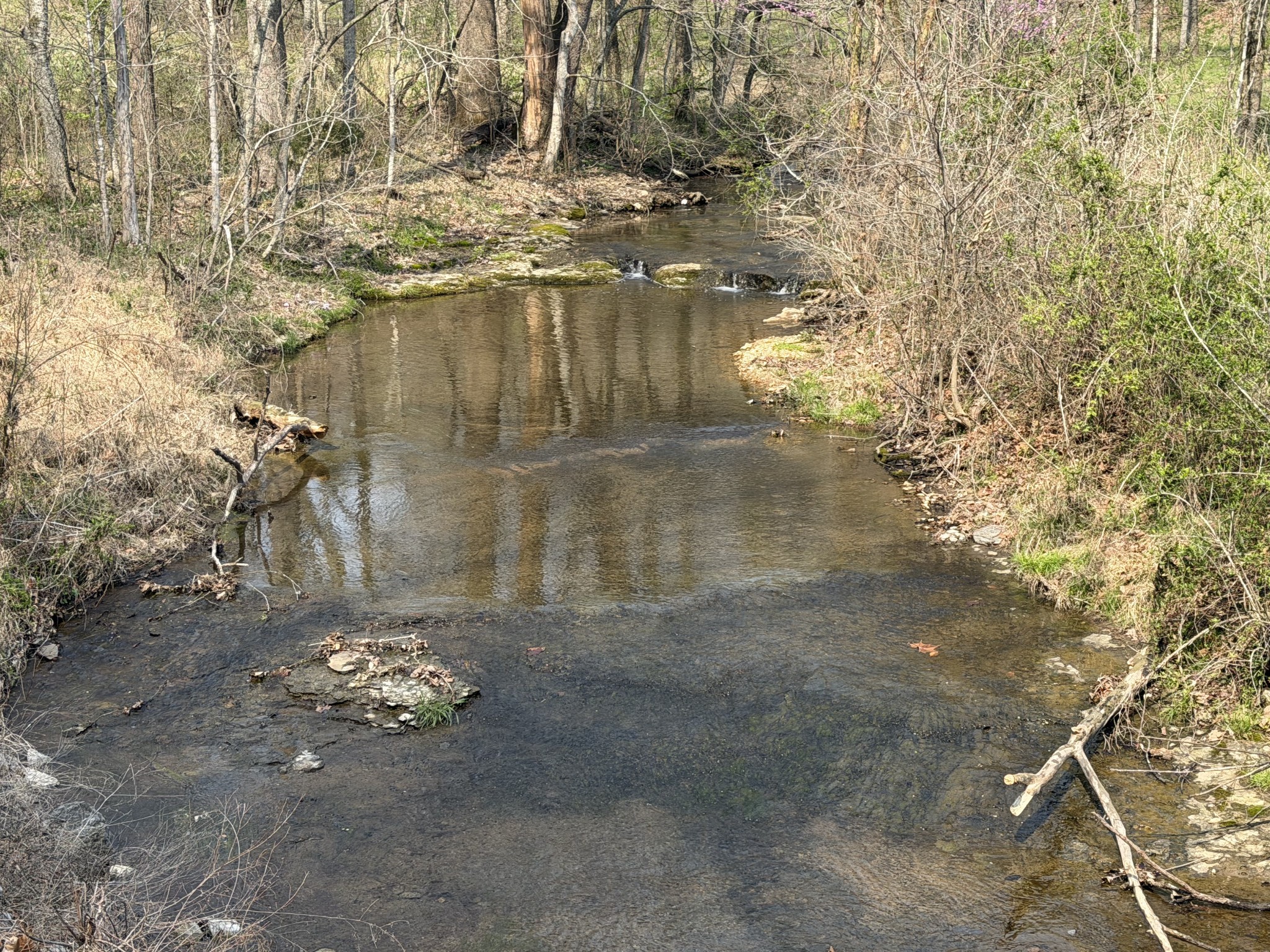1 North Lick Creek Road Franklin, TN 37064 - Photo 3 of 7