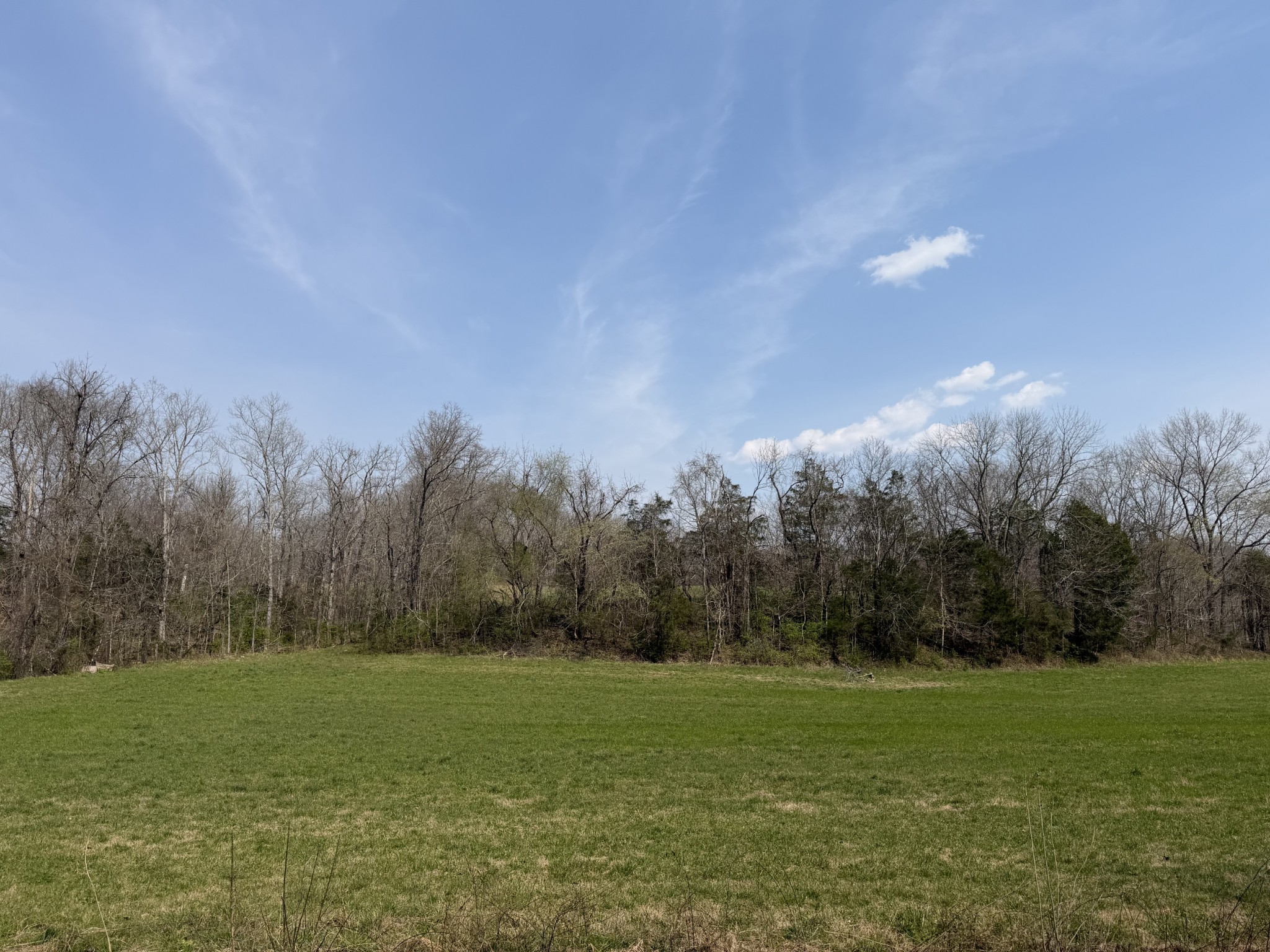 1 North Lick Creek Road Franklin, TN 37064 - Photo 5 of 7
