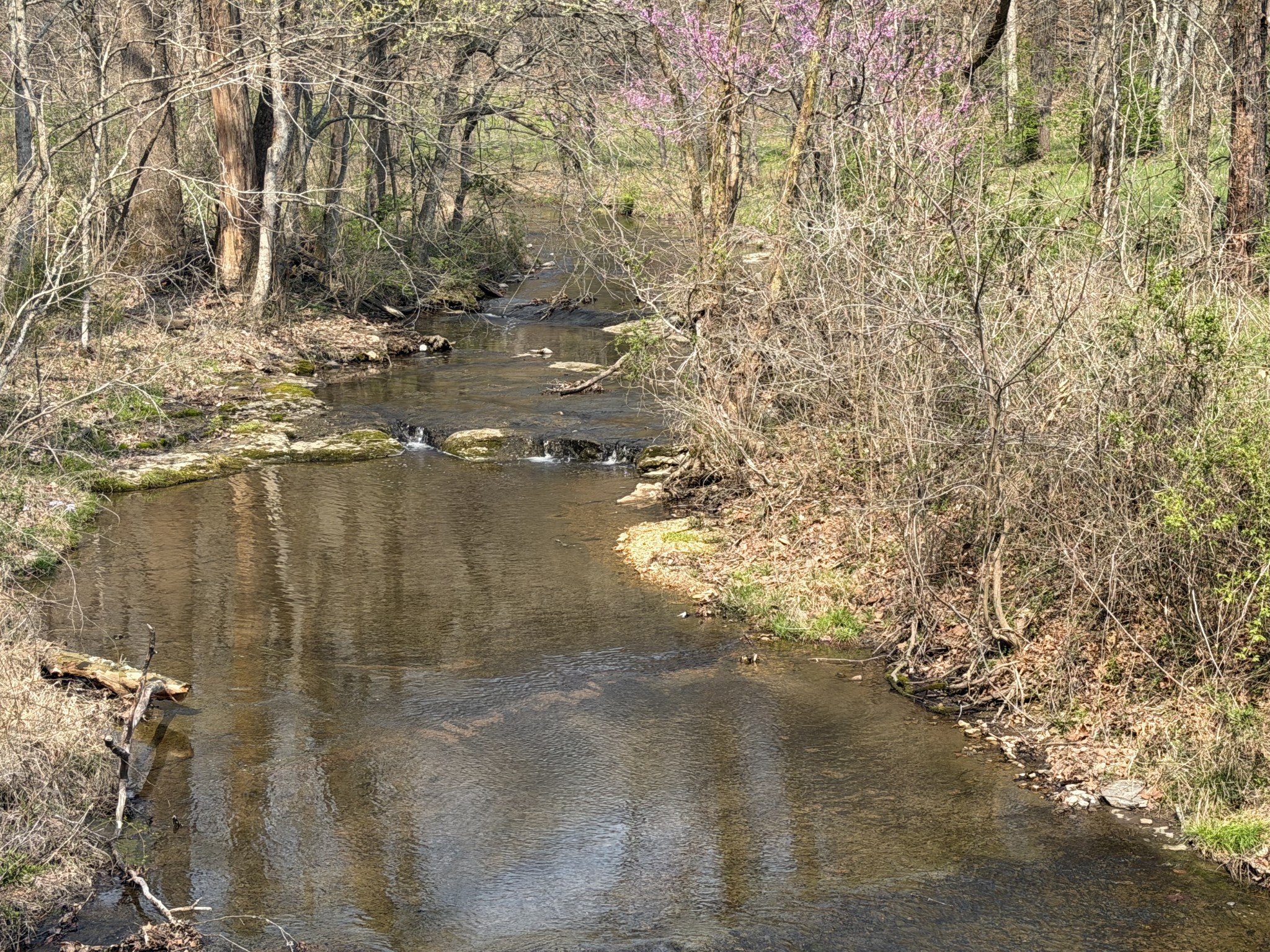 1 North Lick Creek Road Franklin, TN 37064 - Photo 6 of 7