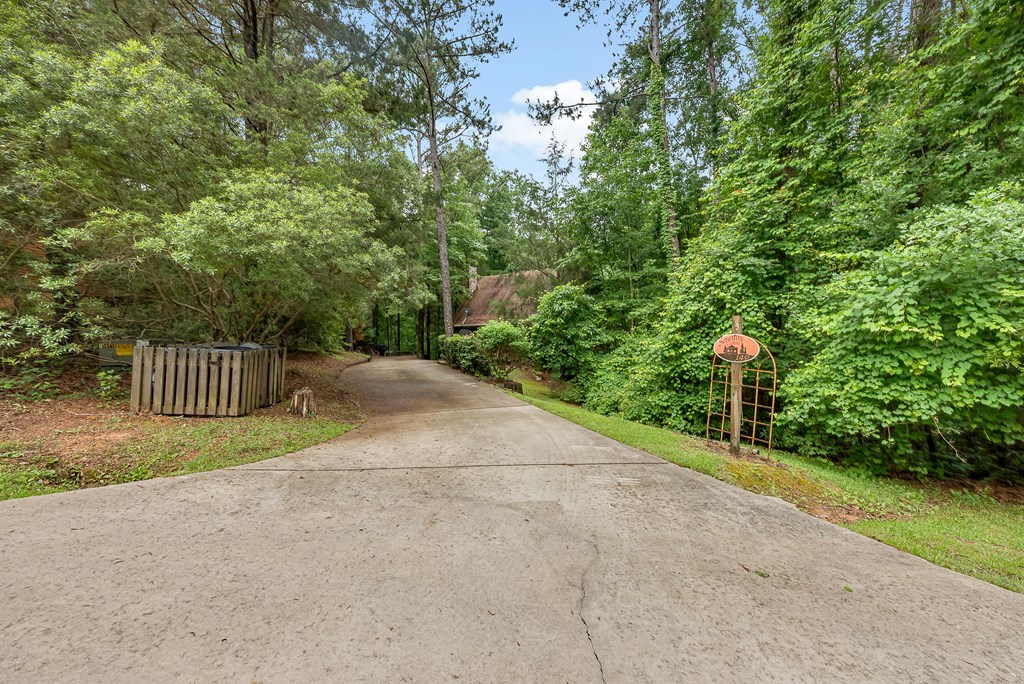 149 Mountain Springs Road Warm Springs, GA 31830 - Photo 5 of 43 a view of a street with potted plants and large trees