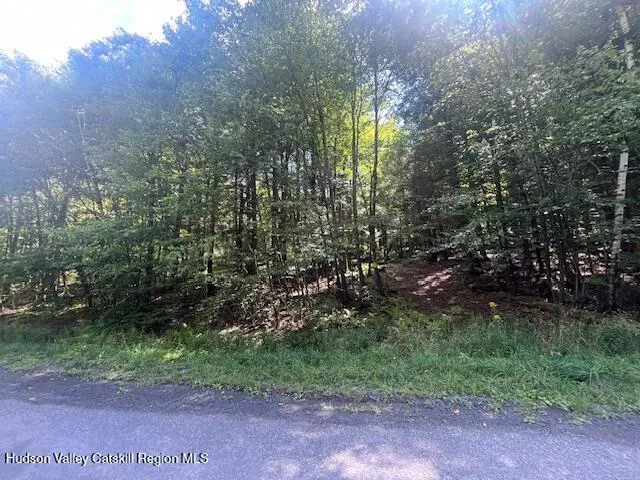 $129,000 | 0 Terrace Drive, Prattsville, NY 12468