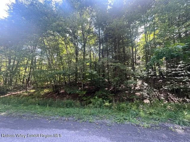 $129,000 | 0 Terrace Drive, Prattsville, NY 12468