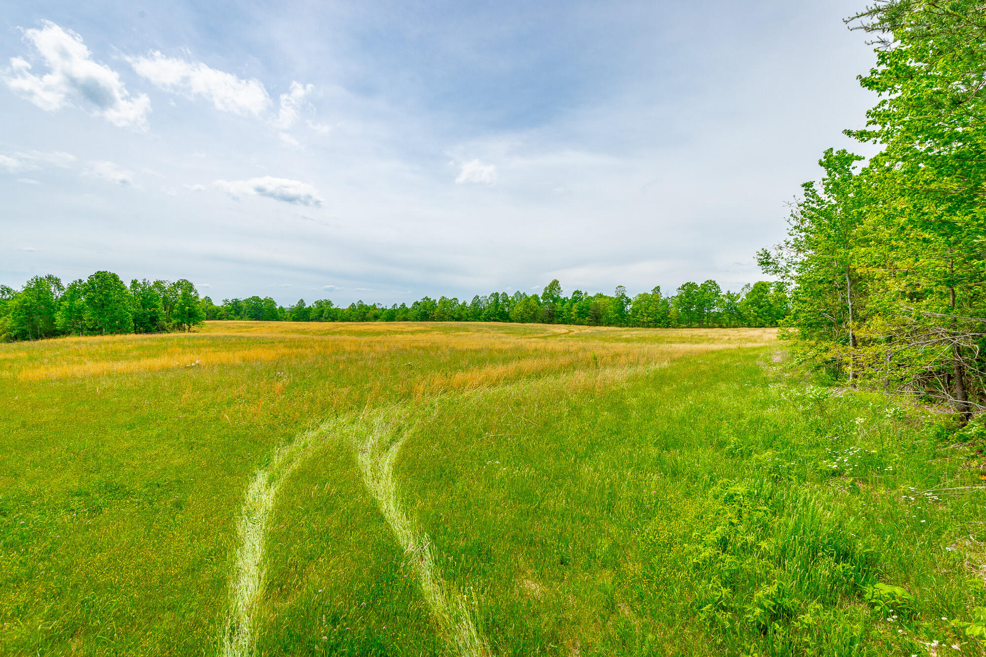 0 Ray Gadd Road Graysville, TN 37338 - Photo 60 of 109 Ray Gadd Road Lot HD-52