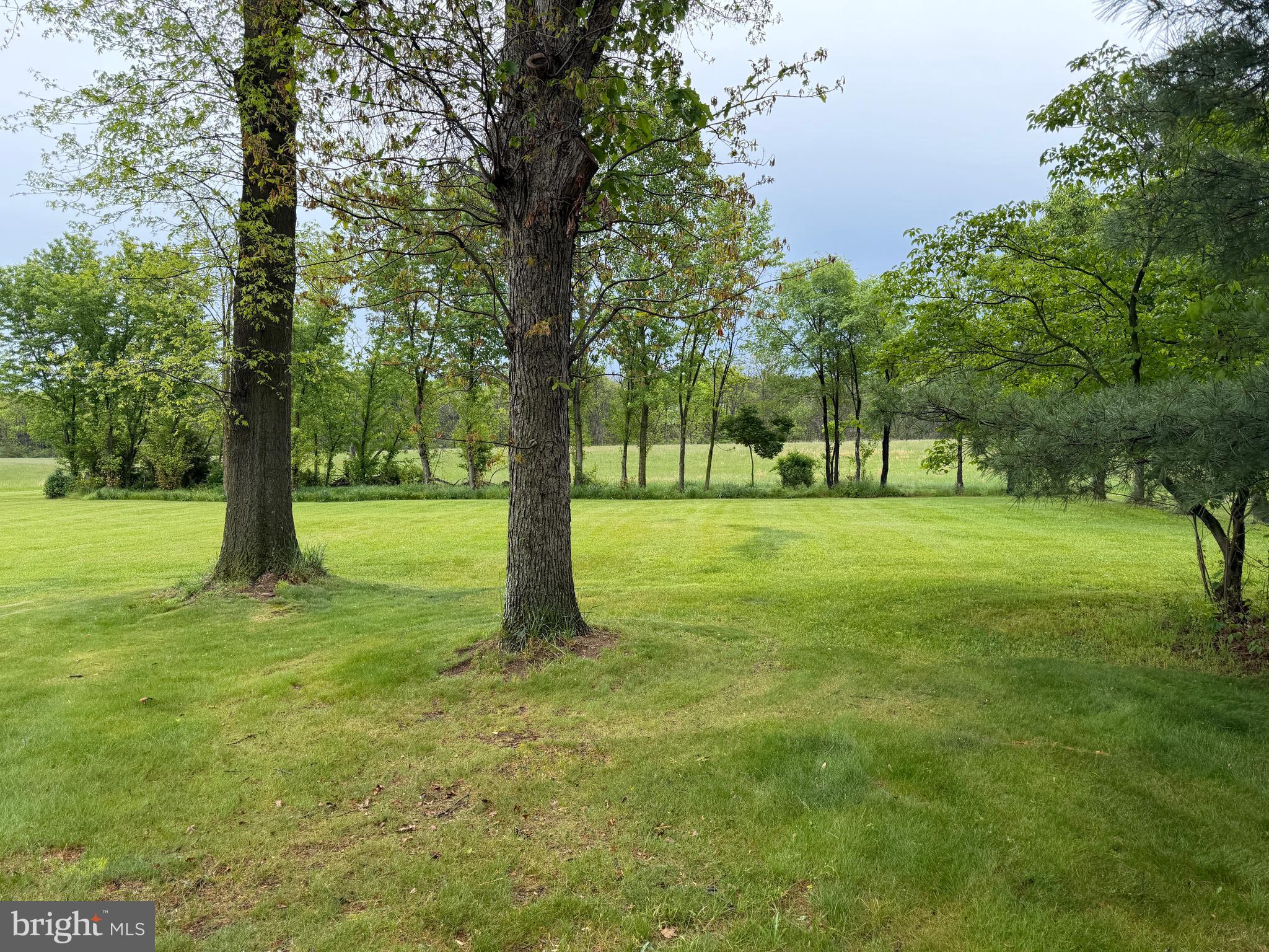 12591 Shimpstown Road Mercersburg, PA 17236 - Photo 72 of 147