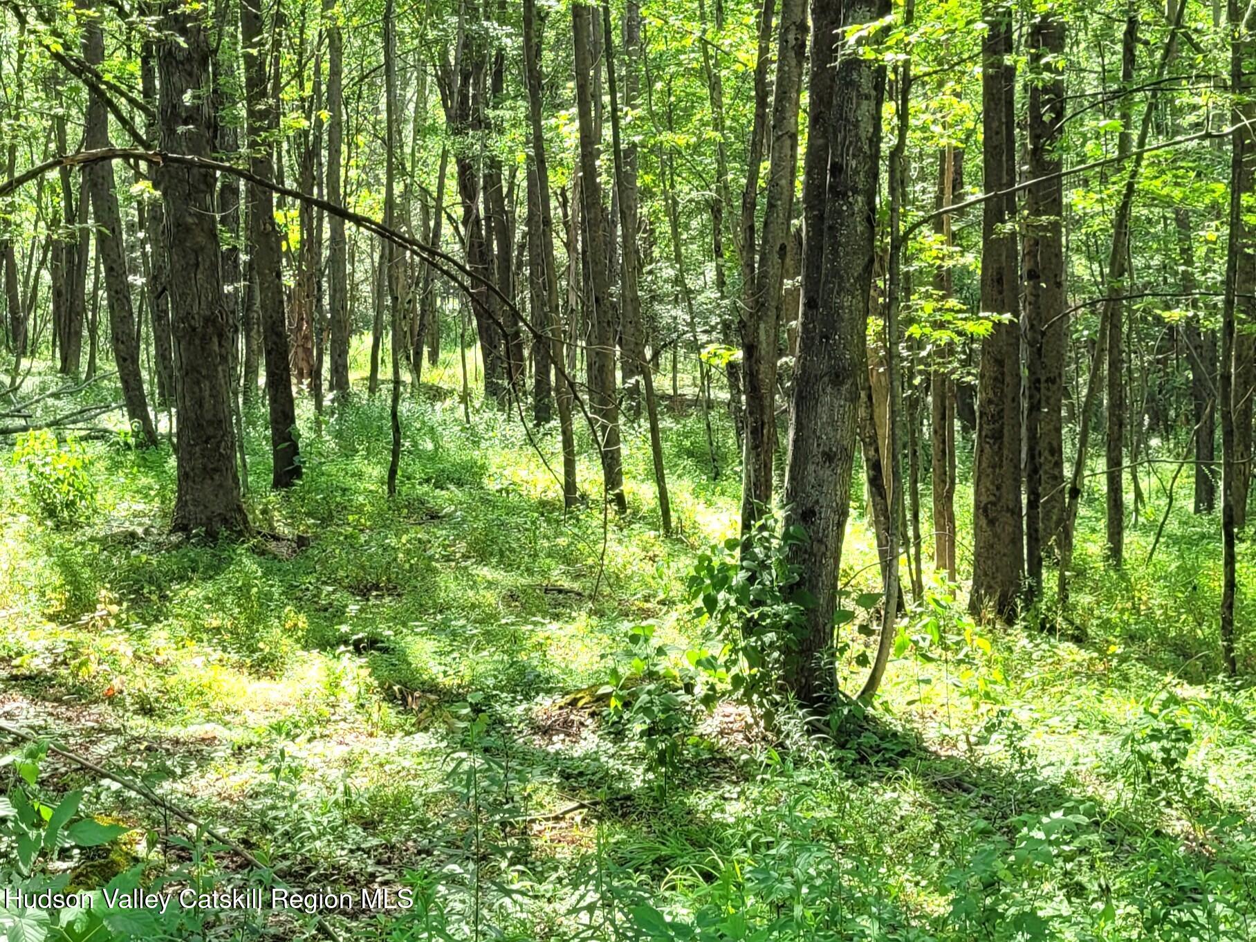 119 Brown House Road Gilboa, NY 12076 - Photo 32 of 39 20260702_163133