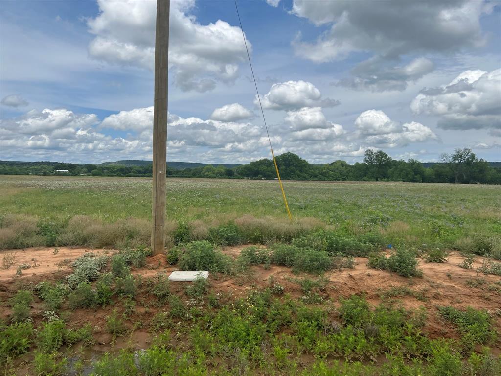 21 Taryn Court Santo, TX 76472 - Photo 2 of 4 a view of a field