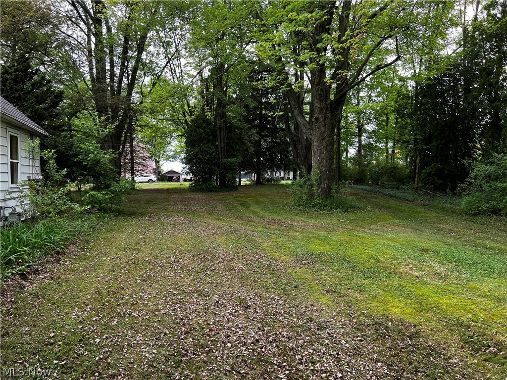 34551 Lorain Road North Ridgeville, OH 44039 - Photo 12 of 22 View of yard
