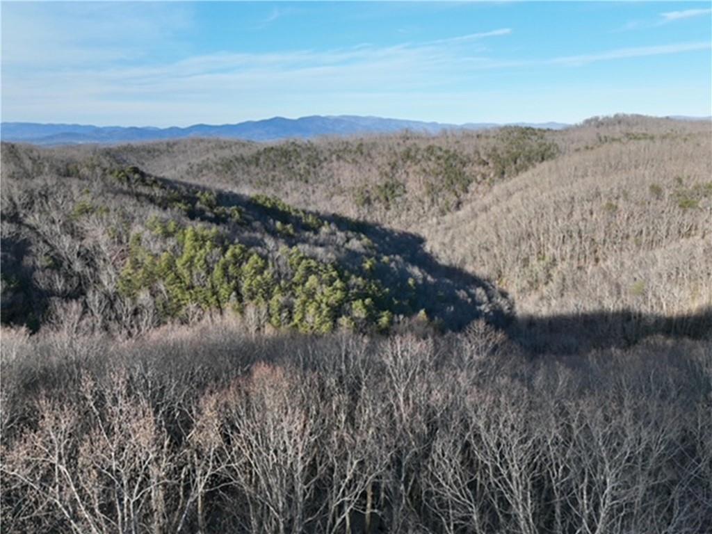 249 Andes Ridge Talking Rock, GA 30175 - Photo 17 of 20