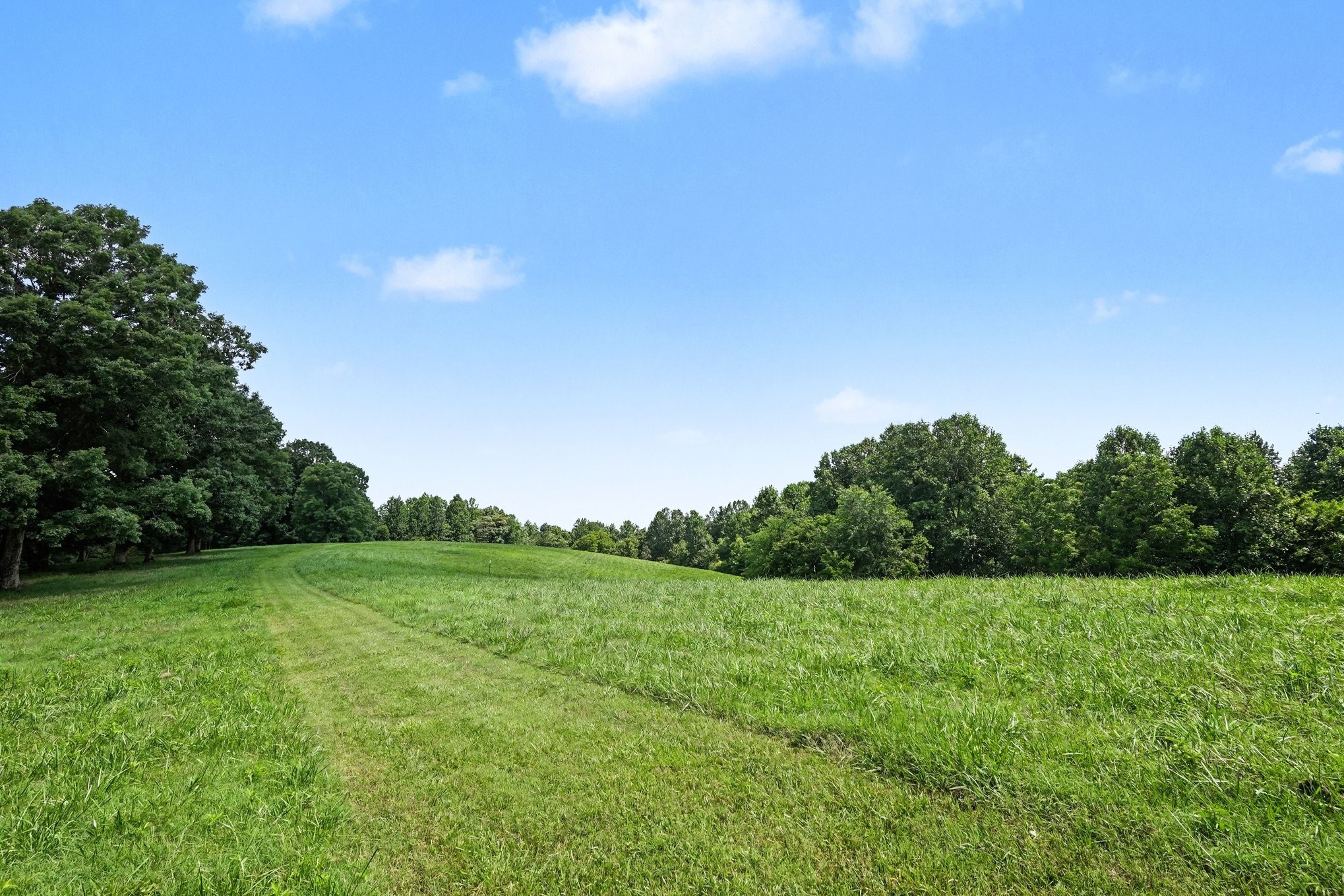 609 Stacy Road White Bluff, TN 37187 - Photo 23 of 36