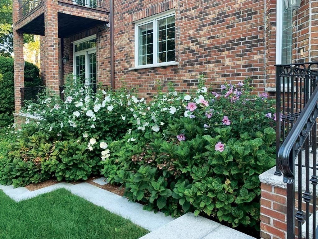 7 Monadnock Road Newton, MA 02467 - Photo 26 of 26