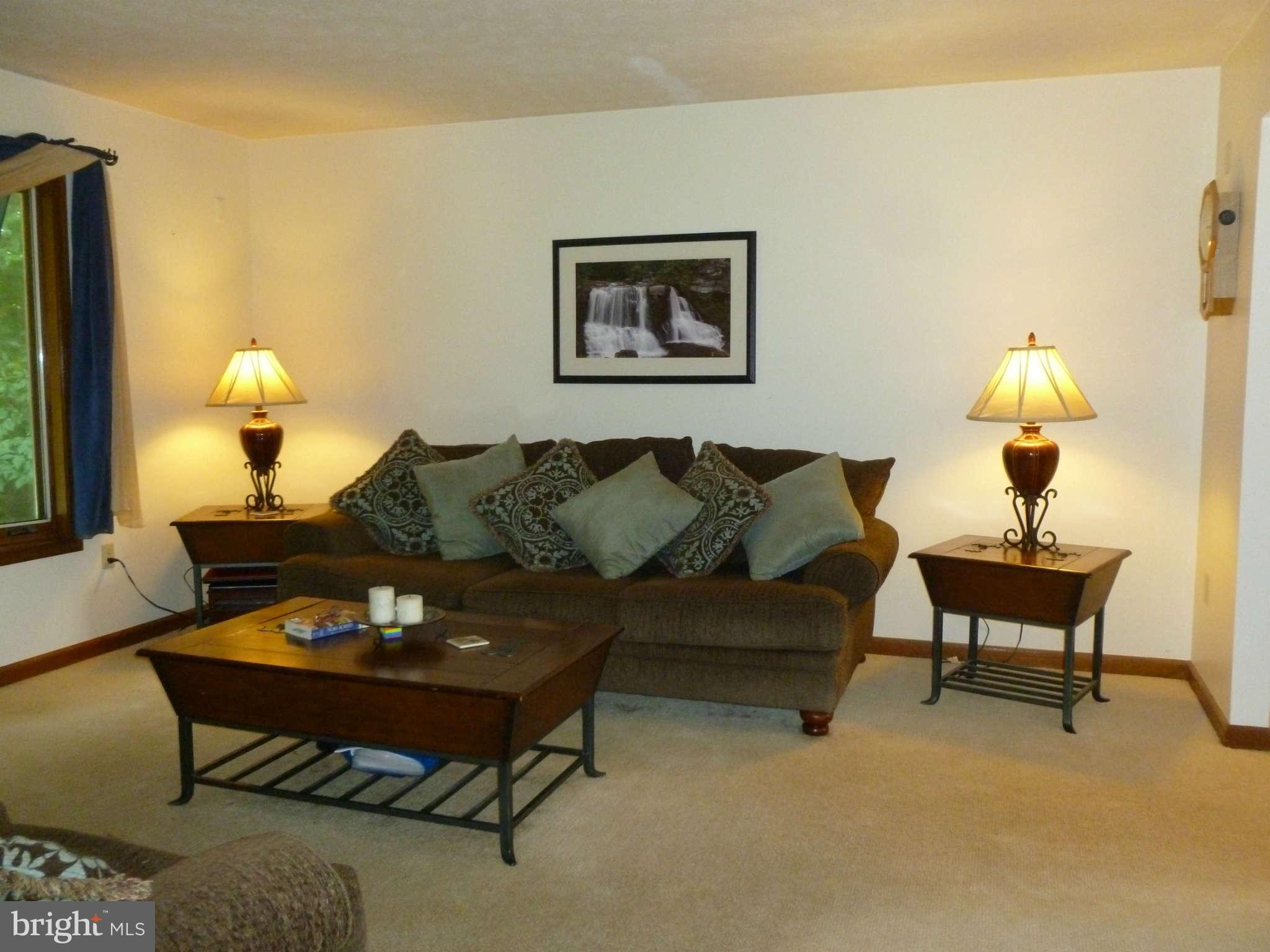 5762 Howellsville Road Front Royal, VA 22630 - Photo 11 of 22 a living room with furniture and a lamp