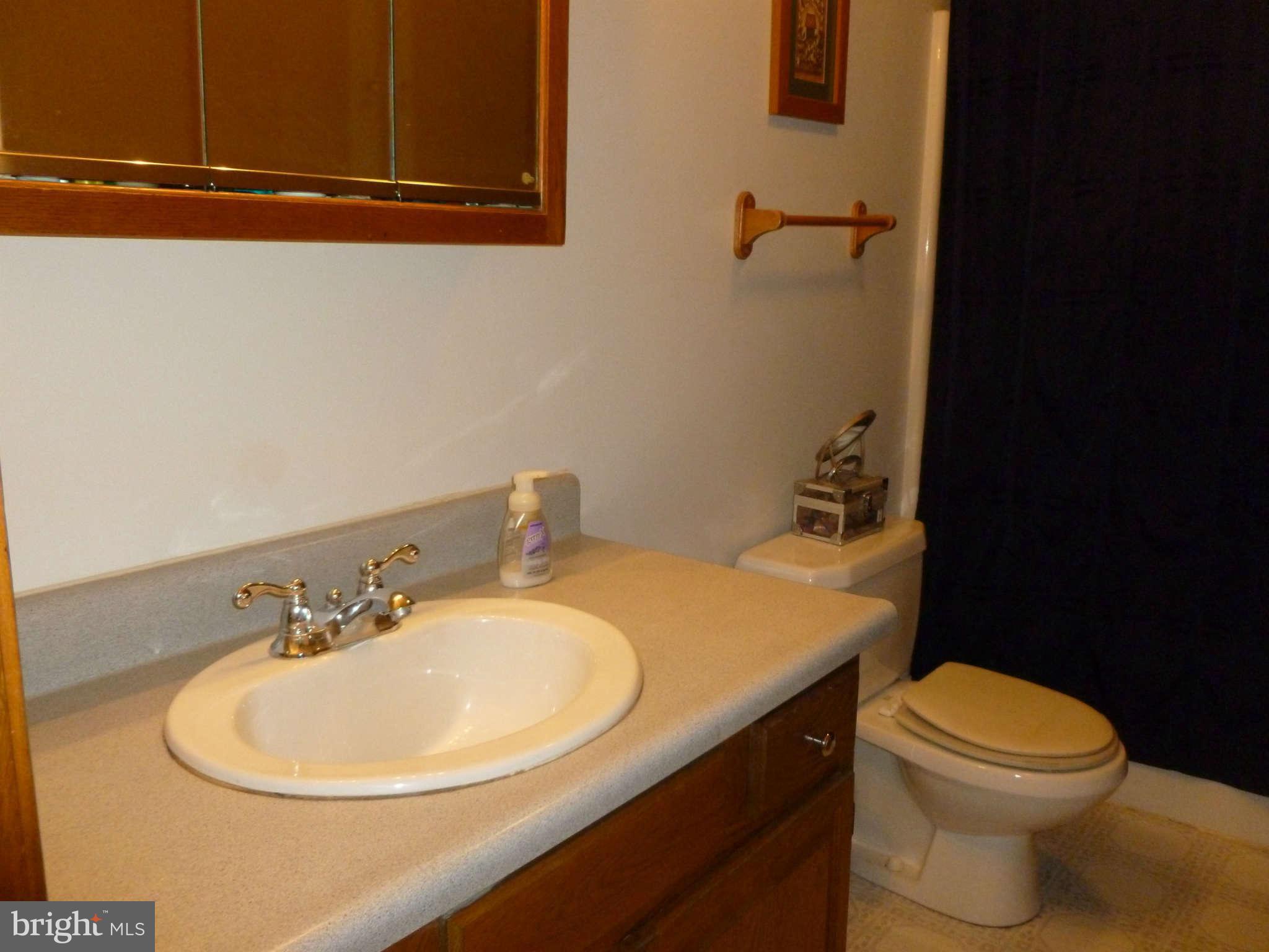5762 Howellsville Road Front Royal, VA 22630 - Photo 16 of 22 a bathroom with a sink a toilet and mirror